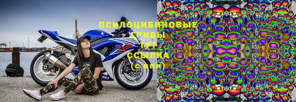 мдпв Нефтекумск