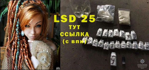 гидра Нея