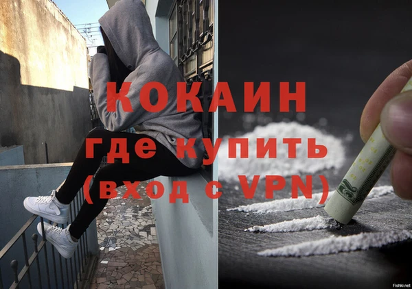 каннабис Новозыбков