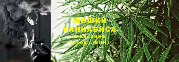каннабис Новозыбков