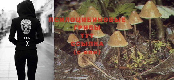 мдпв Нефтекумск