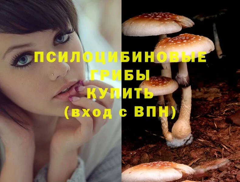 Псилоцибиновые грибы MAGIC MUSHROOMS  OMG зеркало  Кириши 