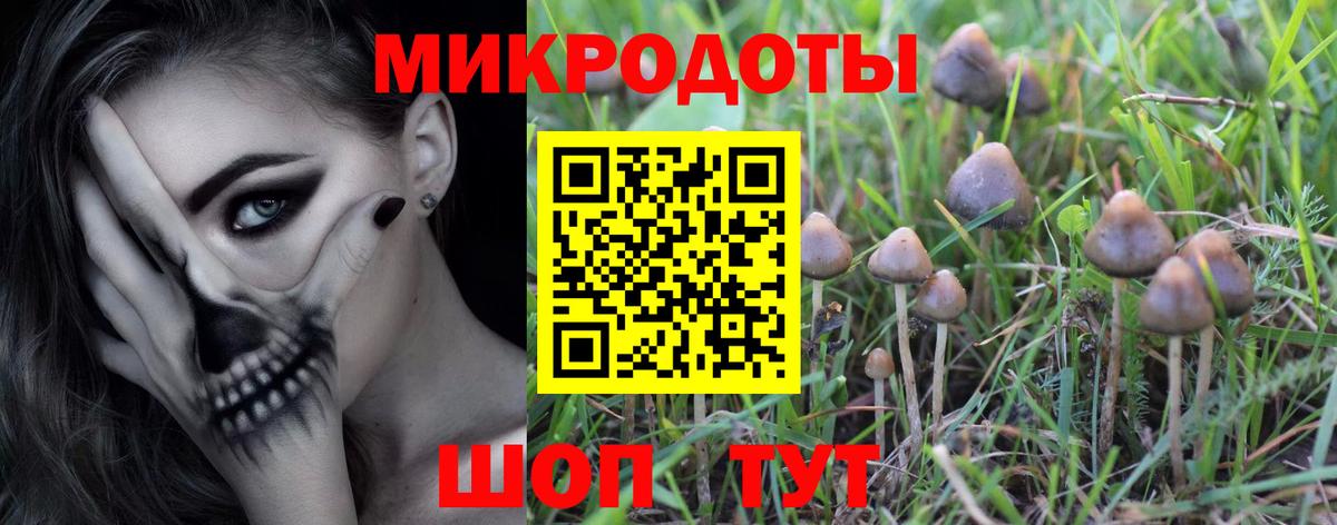 Кириши  Псилоцибиновые грибы MAGIC MUSHROOMS  Вход с VPN 