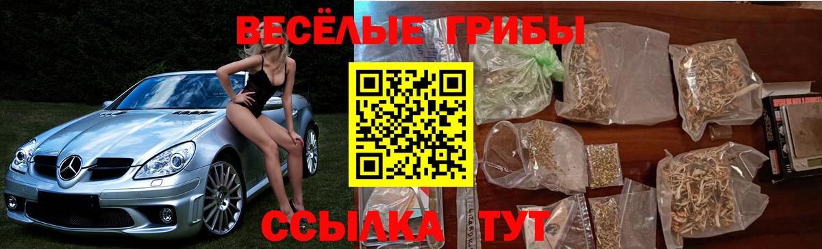 Галлюциногенные грибы MAGIC MUSHROOMS  Кириши 