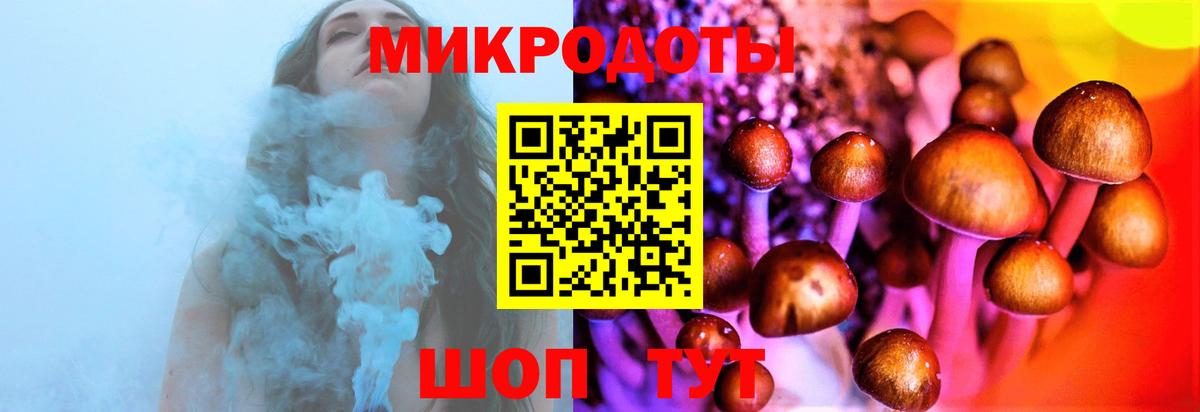 Галлюциногенные грибы мицелий Кириши